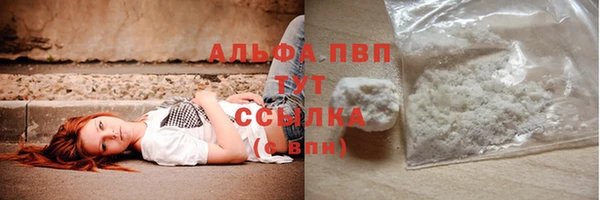 мдпв Бородино