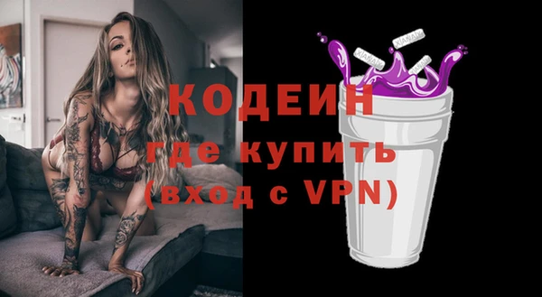 крисы Верхний Тагил