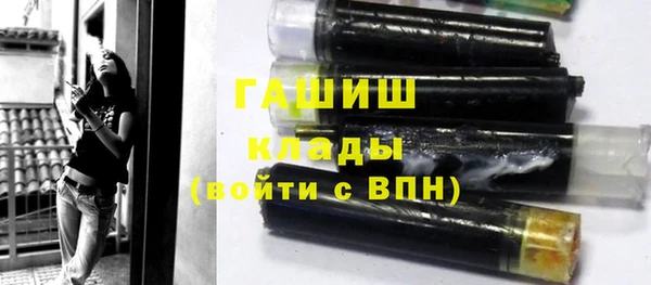 мдпв Бородино