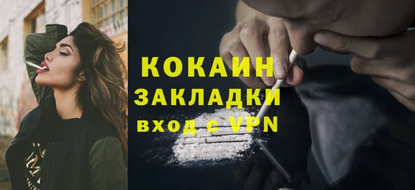 мдпв Бородино