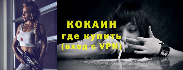 мдпв Бородино