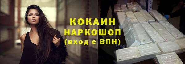 мдпв Бородино