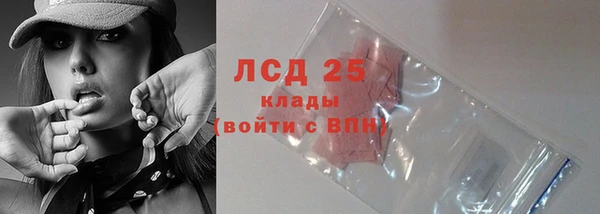 крисы Верхний Тагил