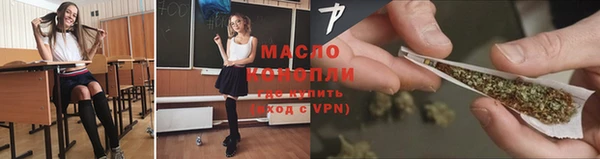 мдпв Бородино