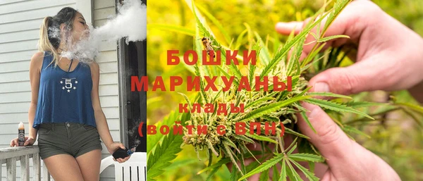 мдпв Бородино