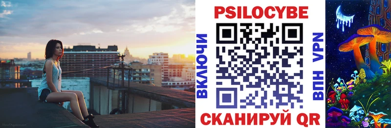 где можно купить наркотик Верхоянск Псилоцибиновые грибы прущие грибы