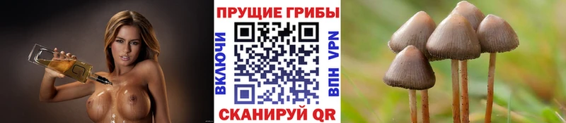 Псилоцибиновые грибы Magic Shrooms Верхоянск